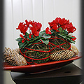 Pokaz florystyczny / Boe Narodzenie w Kwiatach - Tychy - Desiree Glasbergen